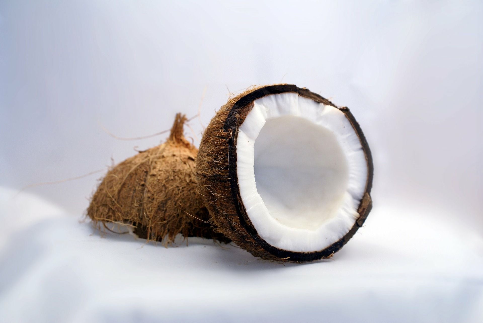 diabetes gula kelapa untuk
