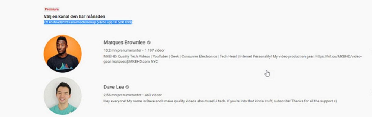 Screenshot YouTube Premium.