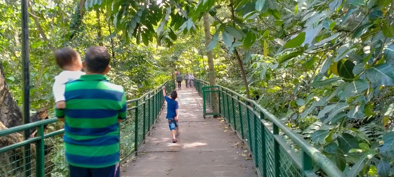 Forest Walk Babakan Siliwangi Kota Bandung