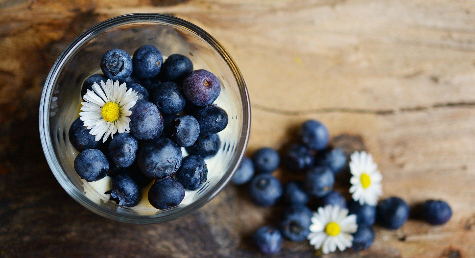 Manfaat Blueberry untuk menurunkan kadar kolesterol dan juga gula darah. Jenis buah berry lain juga memiliki manfaat yang sama.*