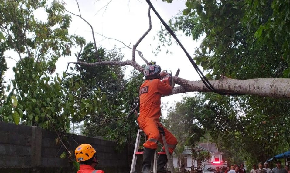 Tim Unit Reaksi Cepat (TURC) BPBD Kota Tasikmalaya melakukan pemotongan pohon tumbang yang menimpa salah satu rumah warga  di Kampung Cihideung, RT 04 RW 08, Kelurahan Ciakar, Kecamatan Cibeureum Kota Tasikmalaya, Sabtu (22/2/2020) petang.*