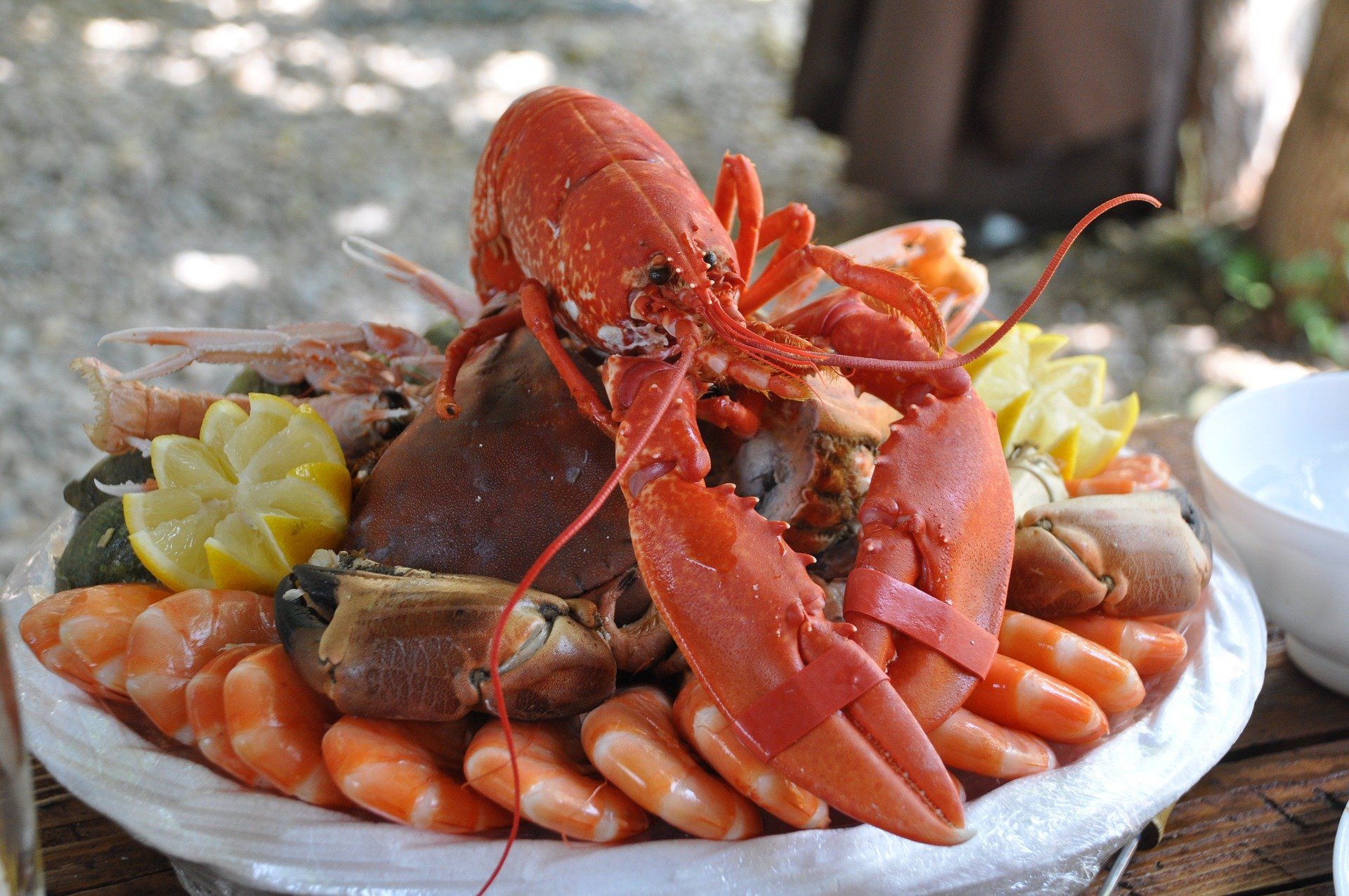 tempat wisata ala korea di jakarta Wisata Kuliner di 4 Negara Berbeda dari Jerman hingga 