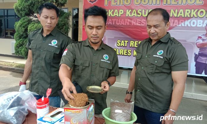  SATRESNARKOBA Polresta Bandung memperlihatkan barang bukti berupa tembakau gorila di Mapolresta Bandung, Kamis (27/2/2020).* Dua orang tersangka pengedar tembakau gorila diamankan. 
