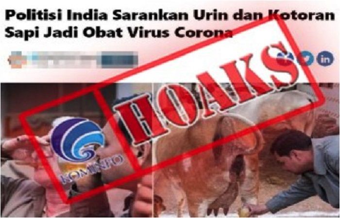 HOAX politikus India klaim kotoran dan urine sapi dapat sembuhkan pasien virus corona.*