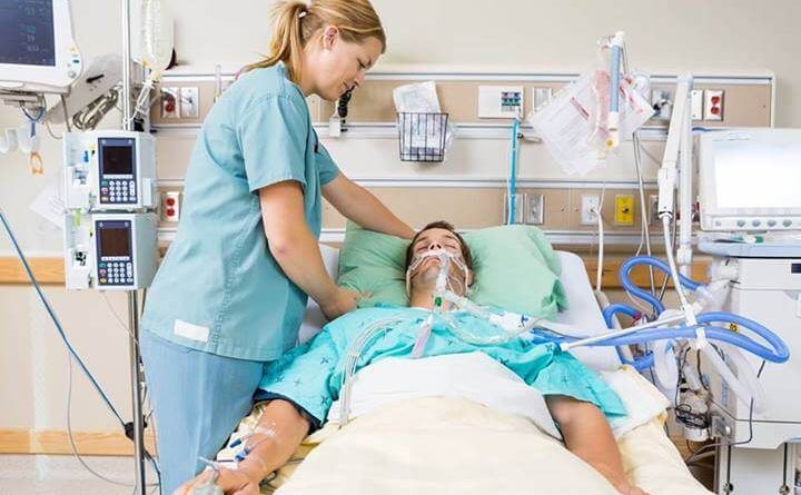 Diburu Banyak Negara Perusahaan Ventilator Hewan Di Jepang Kebut