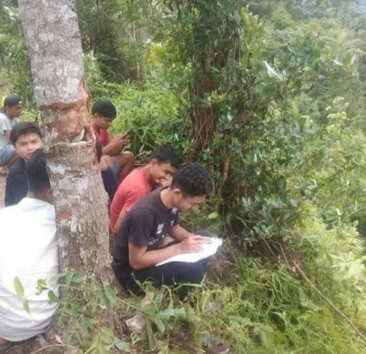 SEJUMLAH mahasiswa di Kabupaten Luwu menantang maut demi mencari sebuah sinyal untuk mendukung kuliah online yang dijalankannya.*