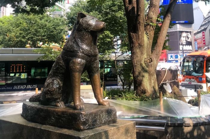 Patung anjing peliharaan Hachiko yang setia untuk menunggu majikannya yang telah meninggal selama 10 tahun lamanya di Stasiun Shibuya Jepang