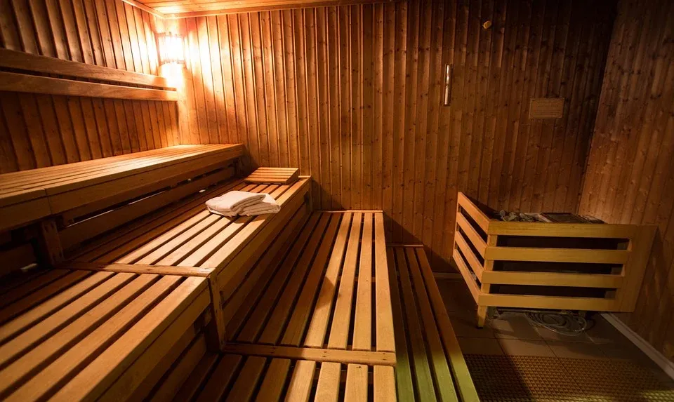 ILUSTRASI sauna.*