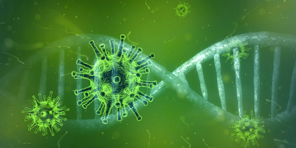 ILUSRASI virus corona.*
