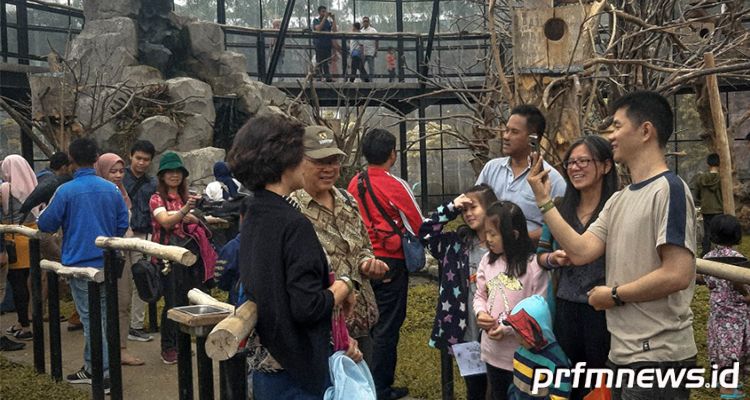 Pengunjung Antusias Lembang Zoo Kembali Dibuka Prfm News