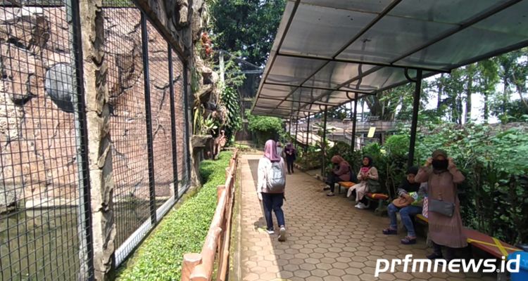 Suasana Kebun Binatang Bandung, di hari pertama pembukaan kembali pada Sabtu 27 Juni 2020.*