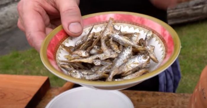 IKAN asing yang dipakai oleh Gordon Ramsay.*