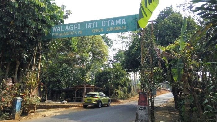 Komplek perkebunan Walagri Jati Utama adalah saah satu into masuk menuju Ciletuh Geopark