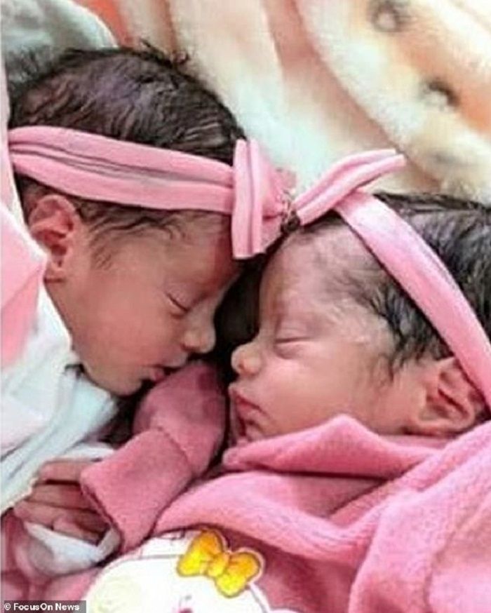 RIP Anne and Analu.
