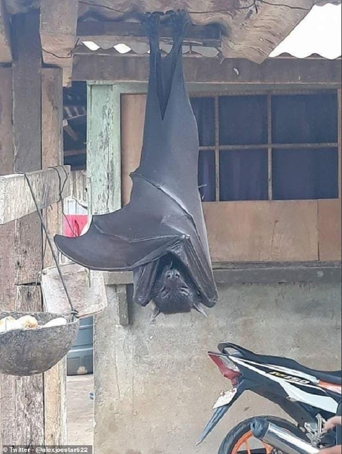 OMG.