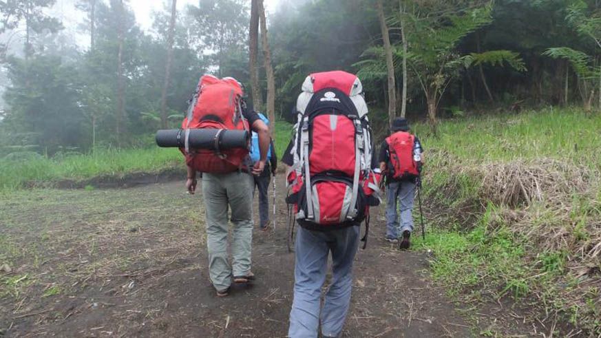 SEJUMLAH pendaki melakukan perjalanan ke Gunung Ciremai lewat jalur Apuy Majalengka.*/ISTIMEWA