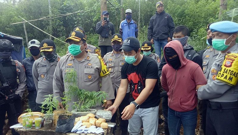 Kapolres Cimahi AKBP M Yoris Maulana Yusuf  menunjukan barang bukti dan tersangka penggarap kebun ganja. (Remy Suryadie/Galamedia)