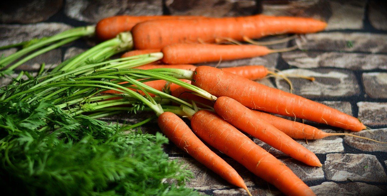 ILUSTRASI kandungan serat selulosa pada wortel mampu menurunkan kolesterol./pixabay