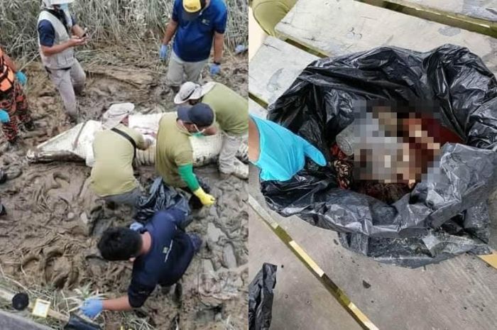 Bocah berusia 14 tahun asal Kota Sarawak Malaysia yang sudah hilang selama 6 hari ditemukan meninggal di dalam tubuh seekor buaya /Facebook.com/@inforoadblockjpjpolis