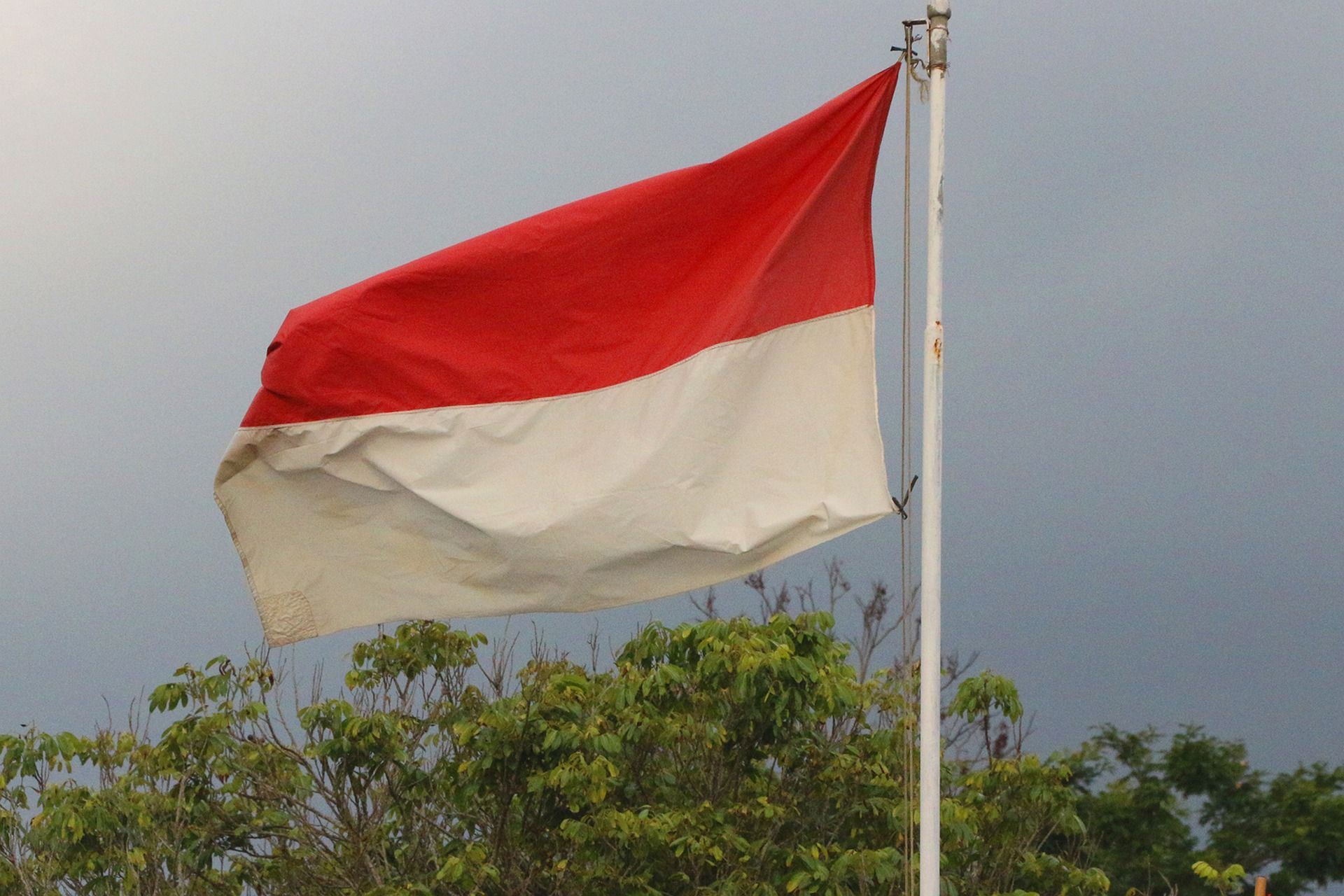 Seorang Wanita Nekat Bakar Bendera Merah Putih Ternyata Juga Pernah Kibarkan Bendera 3 Warna Pikiran Rakyat Indramayu