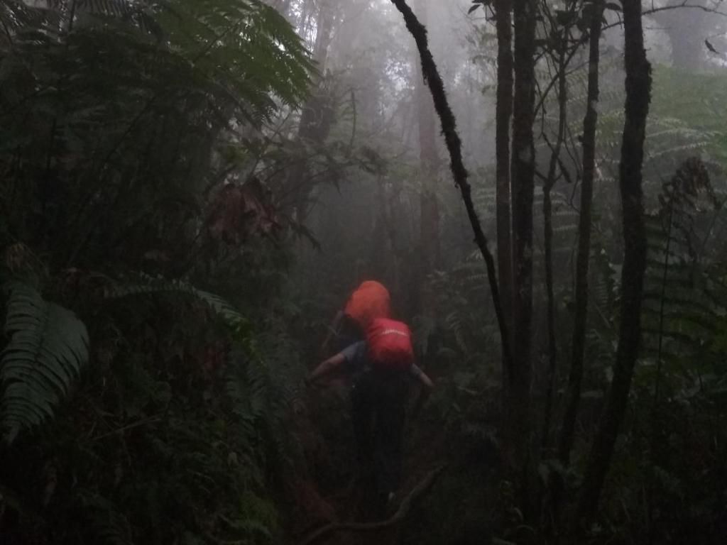 Suasana jalur pendakian ke Puncak Manik, Gunung Salak via Cidahu, Sukabumi, November 2019 lalu