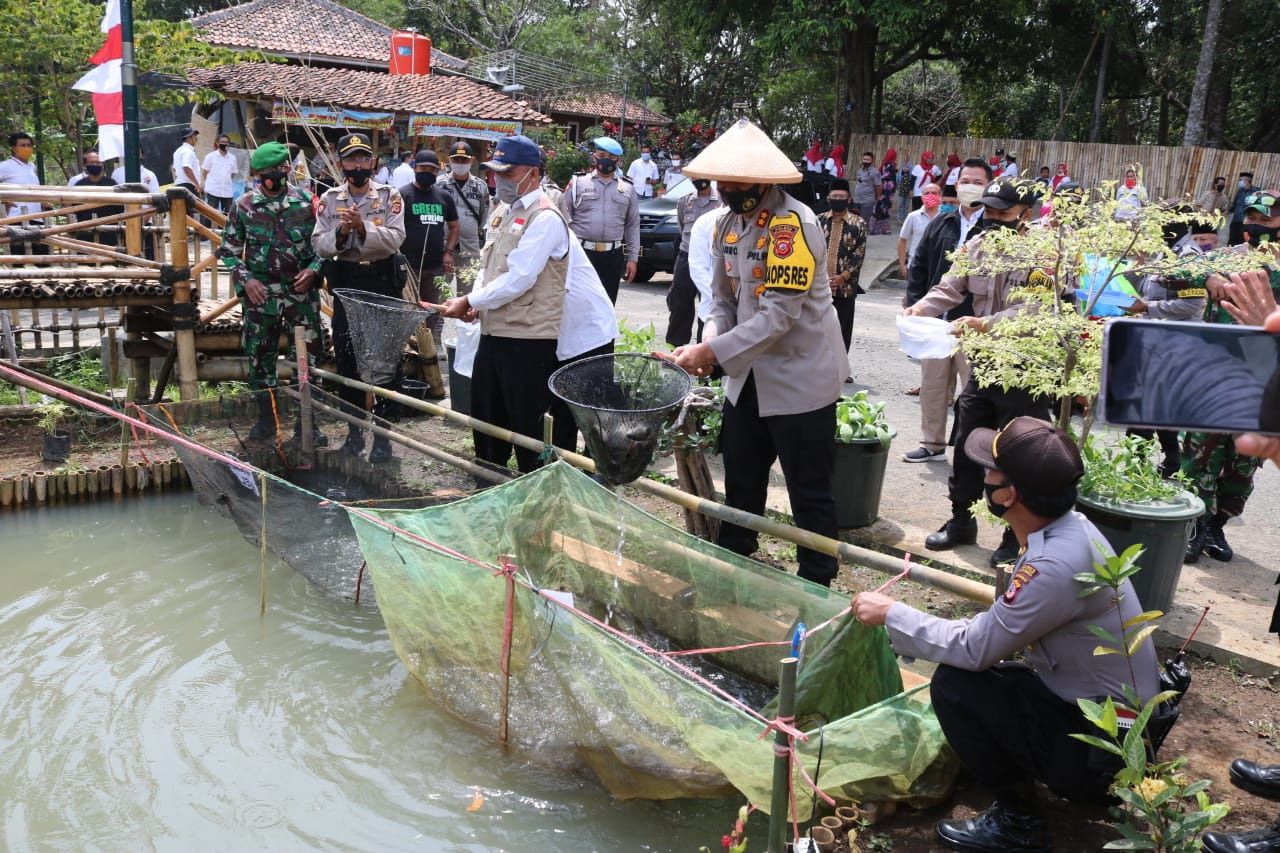 Panen Raya Lembur Tohaga Saung Pakuwon Majalengka, Hasil  