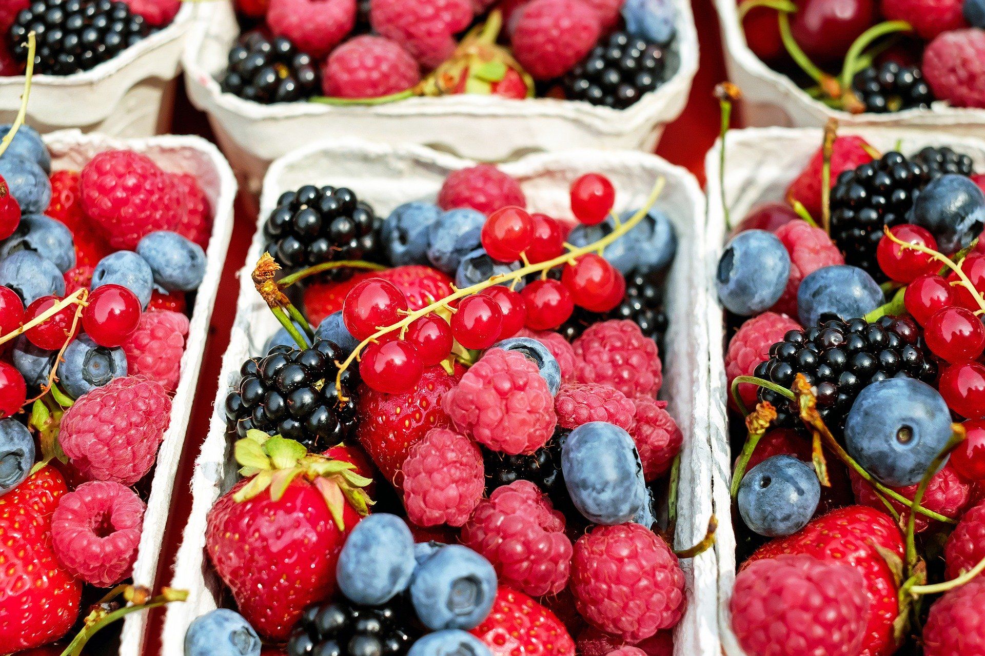 Beragam buah berry. *Pixabay