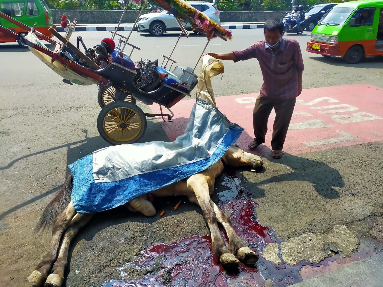 Gelijkwaardig Kenmerkend benzine Sakit Dipaksa Narik, Kuda Delman Mati Mendadak Saat Membawa Wisatawan  Keliling Istana Bogor