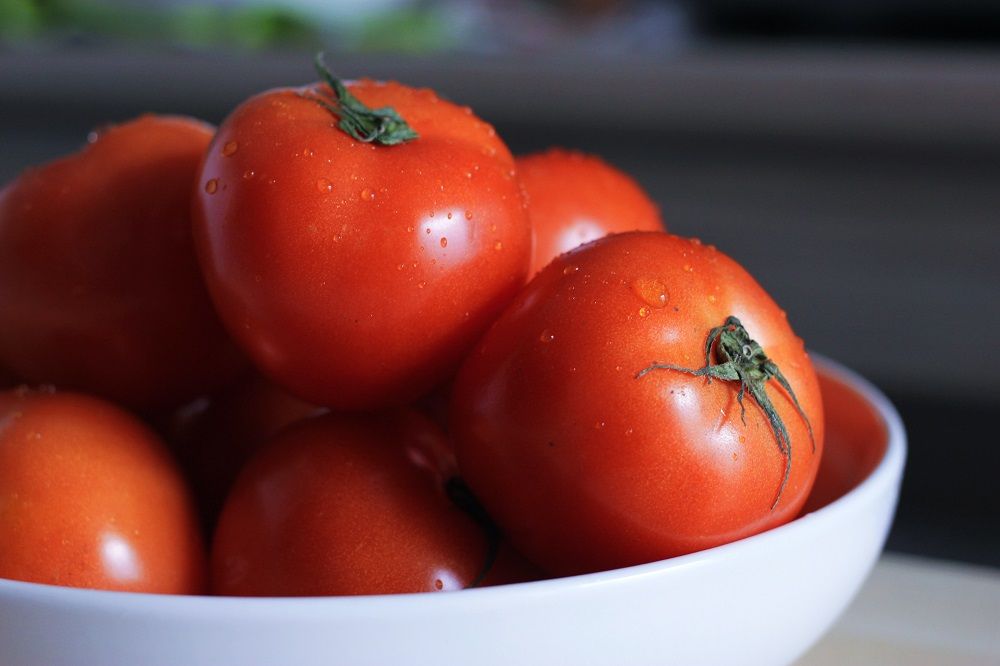 Manfaat Tomat untuk Kesehatan Tubuh dan obati sakit gigi