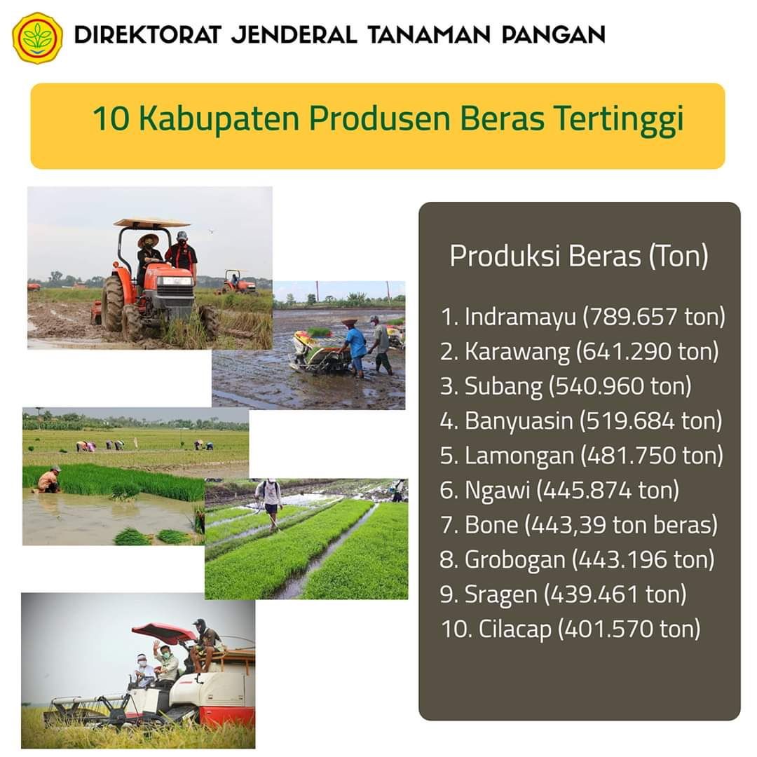  Produksi beras sebanyak 789.657 ton, dalam catatan Kementan, produksi padi Kabupaten Indramayu ini merupakan tertinggi di Indonesia dan karenanya layak diapresiasi.*/HERI SUTARMA  