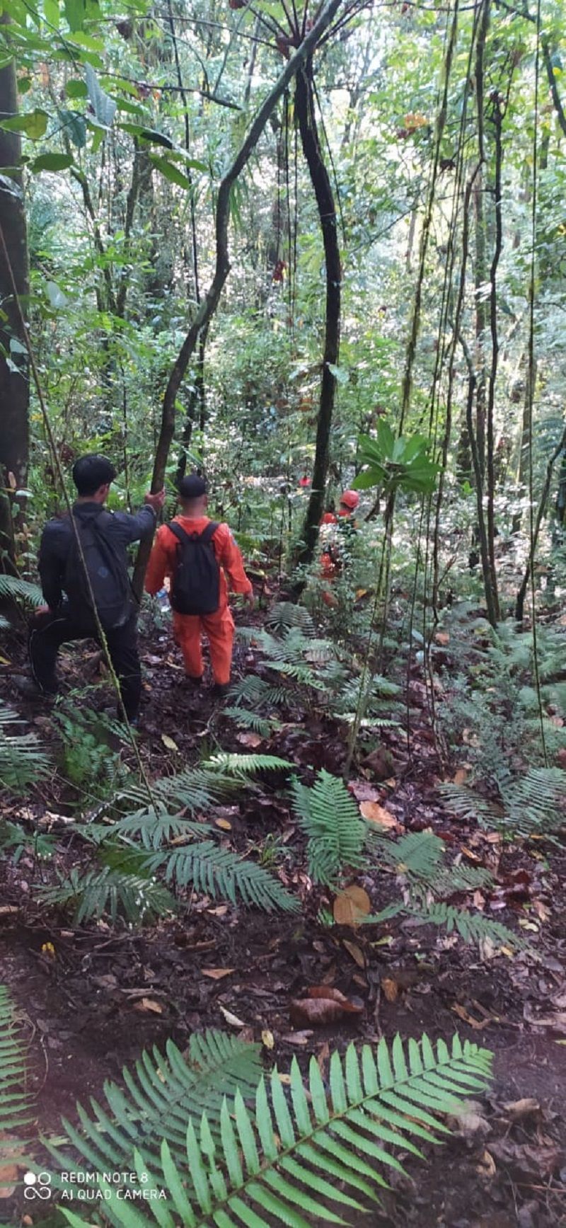 Tim SAR berhasil mengevakuasi 6 orang pendaki yang tersesat di Gunung Adeng, Tabanan Bali pada Senin 7 September 2020