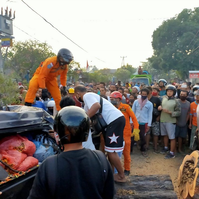 sebuah pohon tumbang di Gerokgak Buleleng Bali, Rabu 9 September 2020, dan menimpa mobil hingga ringsek mengakibatkan meninggalnya pengemudi mobil warga Sumber Kima