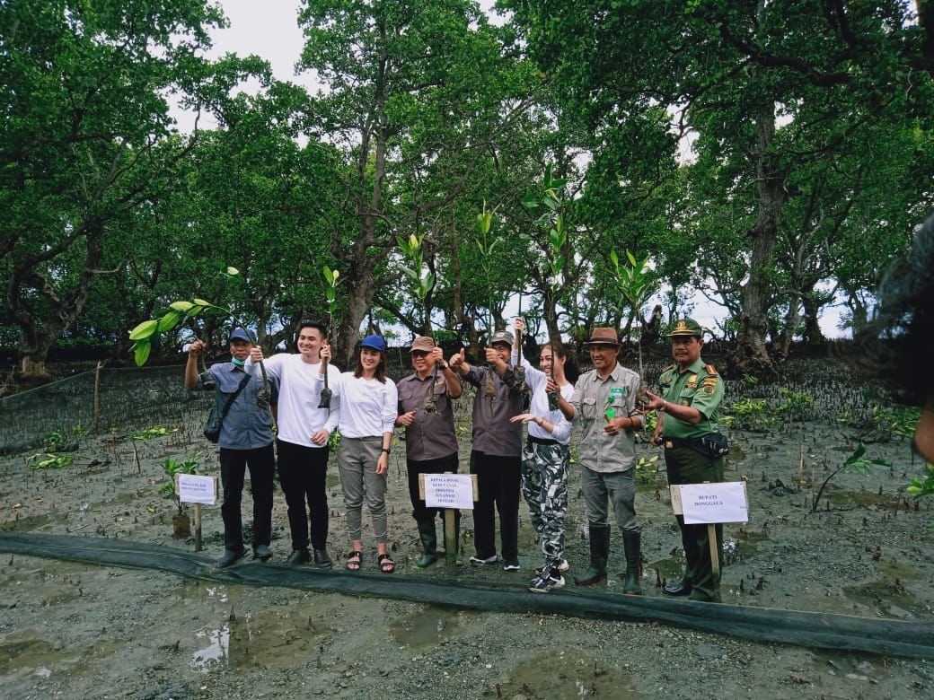 Penanaman bibit Mangrove