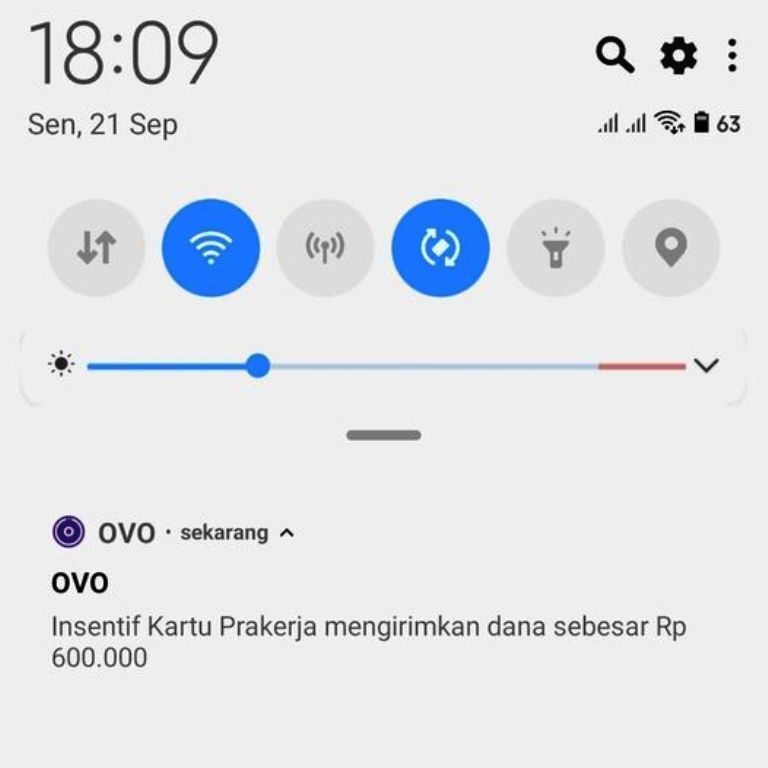 Giliran Insentif Prakerja Ovo Cair Ayo Cek Akun Sekarang Portal Sulut