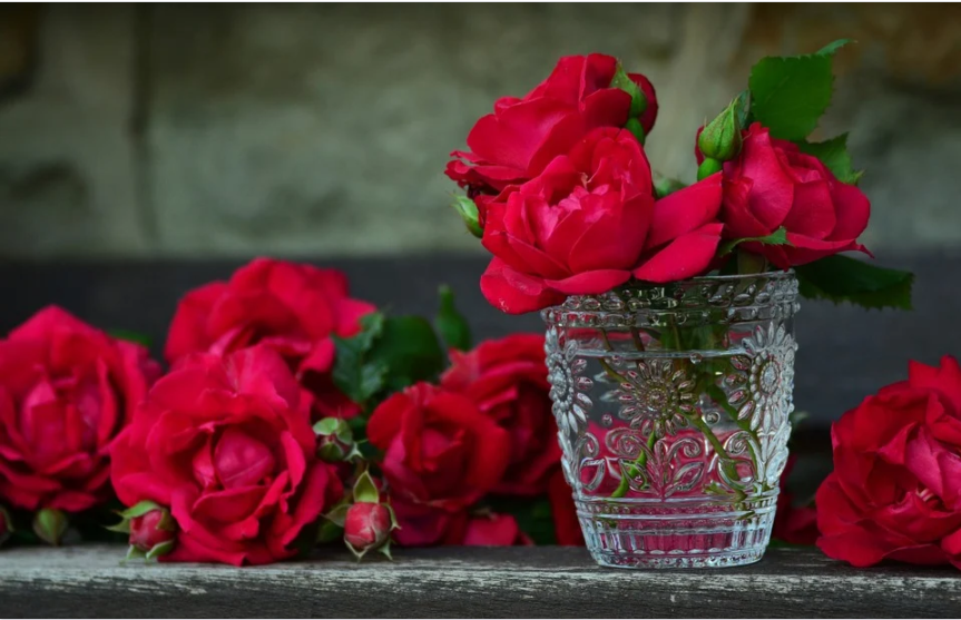 Ilustrasi Bunga Mawar Merah