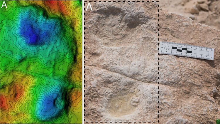 Jejak kaki manusia yang berasal dari 120 ribu tahun yang lalu di Arab Saudi. (Mathew Stewart via Sciencemag.org)