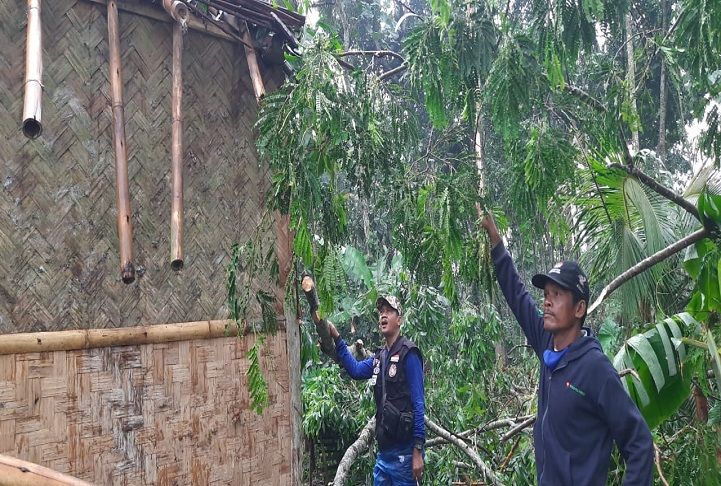 Warga saat menyingkirkan pohon tumbang yang menimpa rumah warga akibat angin puting beliung.
