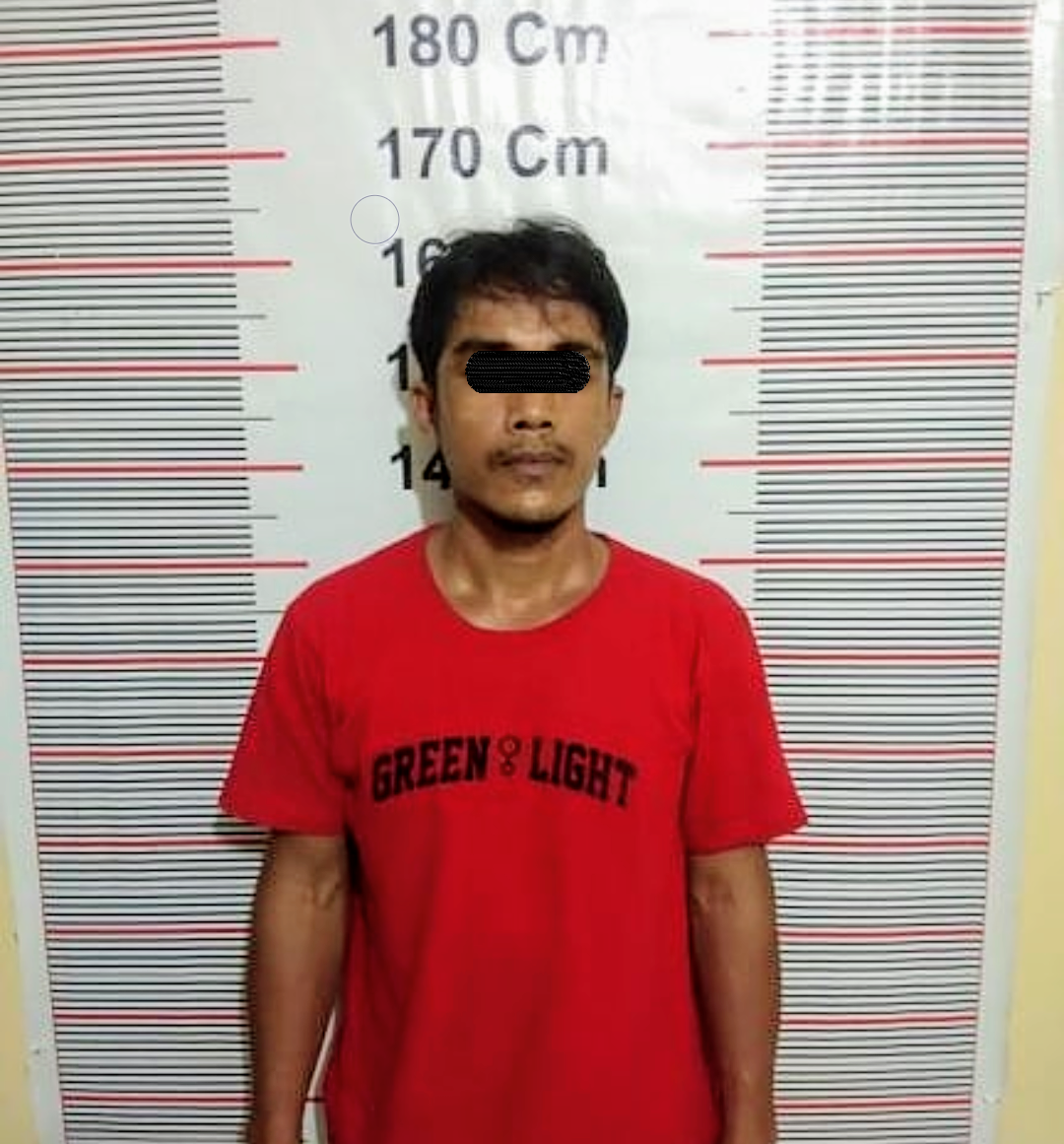 Pelaku pembunuh pemilik rental mobil di Riau.
