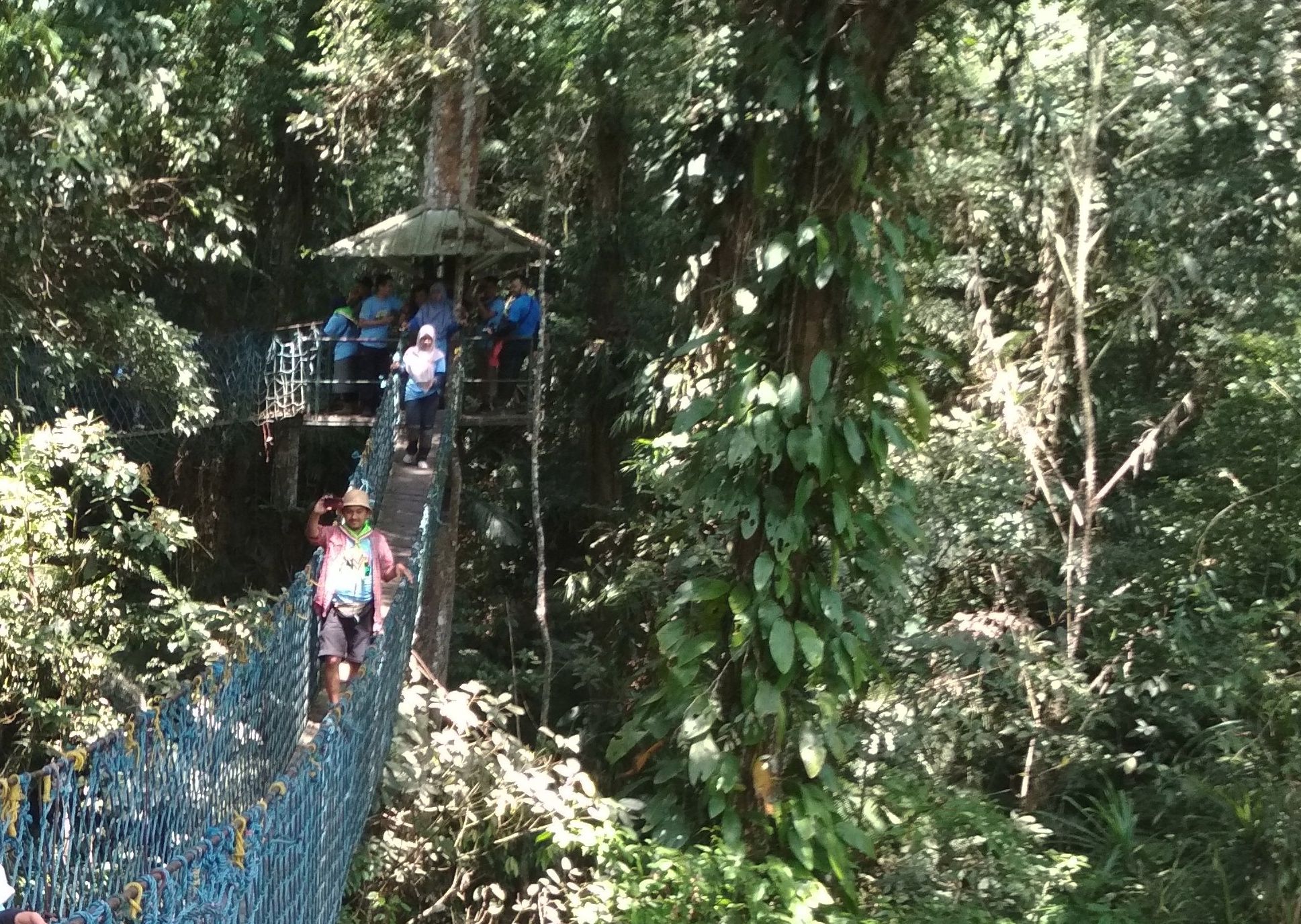 Canopy Trail di Hutan Gunung Halimun, Desa Wisata Malasari, Nanggung, Kabupaten Bogor