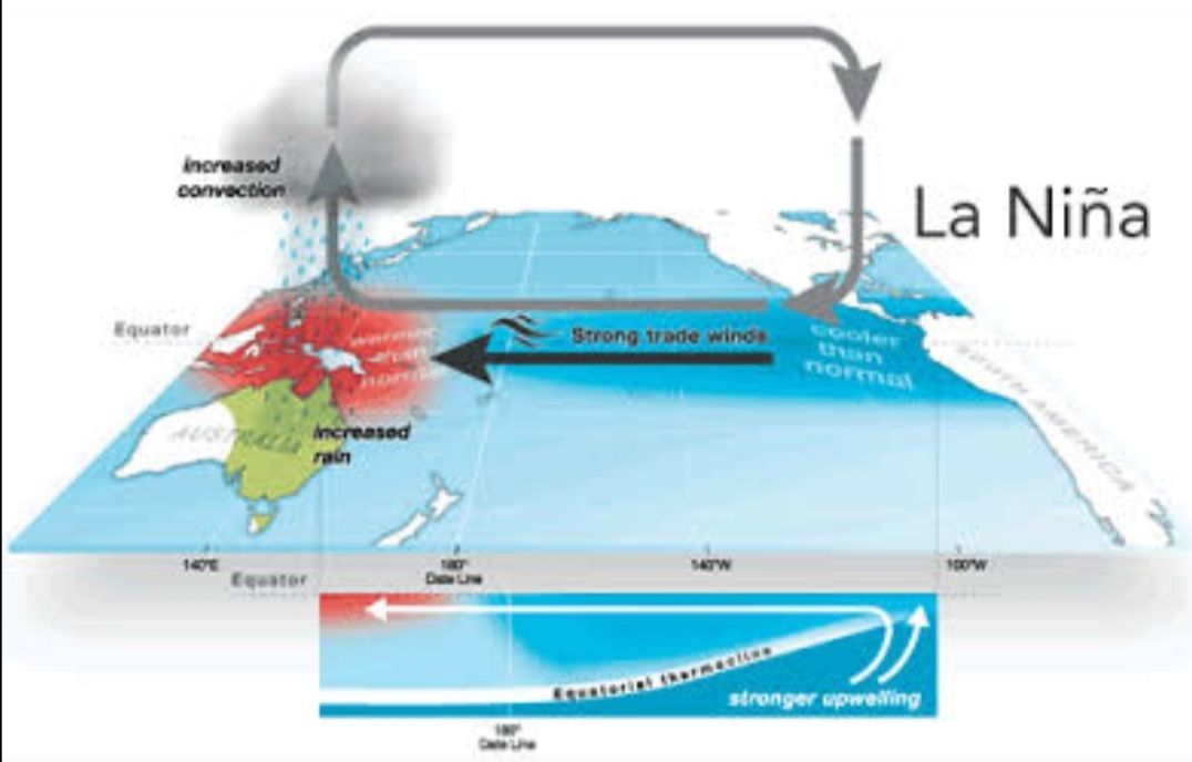 Kenali Fenomena La Nina yang Berdampak pada Anomali Cuaca di Indonesia