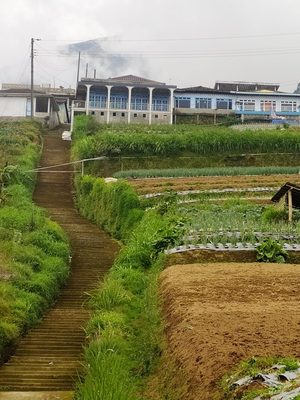 Lahan pertanian menjadi spot foto yang instagramable