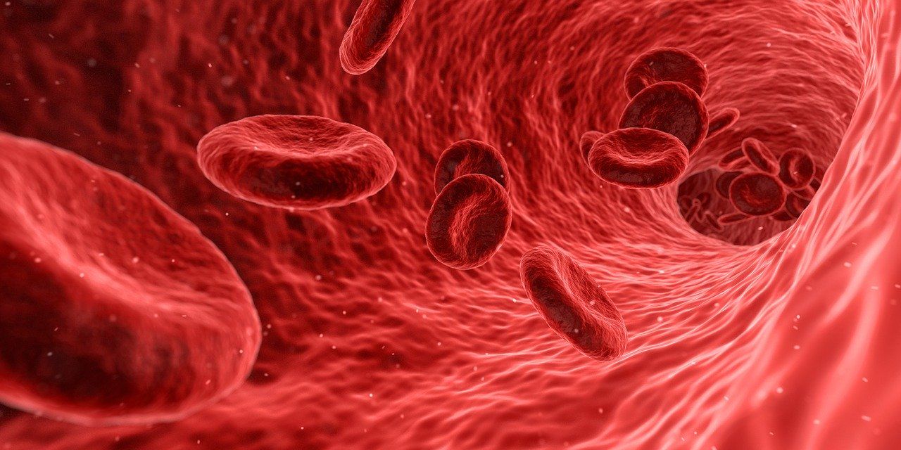 Ilustrasi Sel Darah Merah