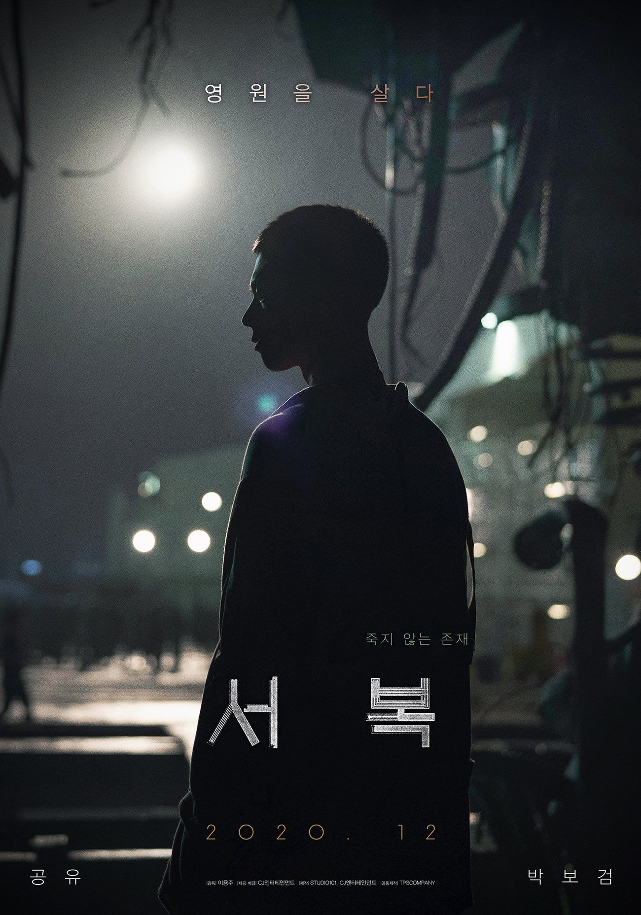Park Bo Gum dalam poster film 