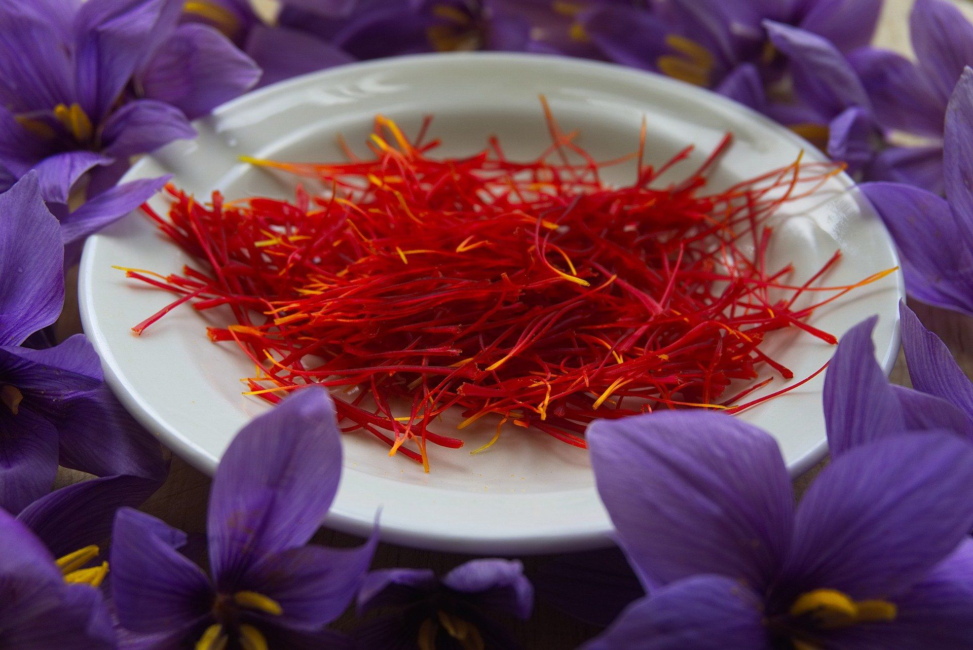 Menilik Manfaat Saffron Rempah Termahal di  Dunia  Berita DIY