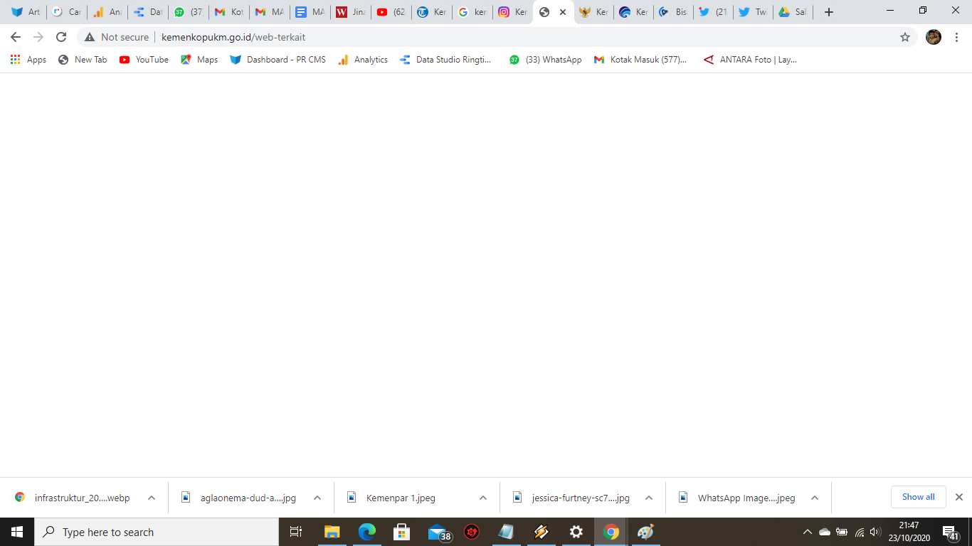 situs kemenkopukm.go.id tidak bisa diakses 