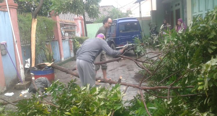 Sebuah pohon di wilayah Kecamatan Cibiru, Kota Bandung, tumbang usai dilanda puting beliung, Minggu 25 OKtober 2020.