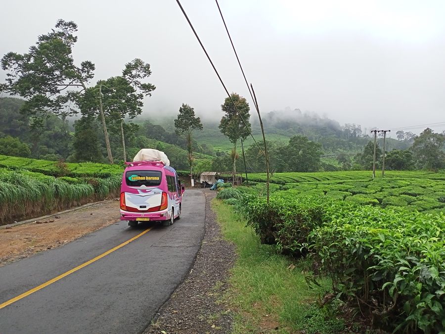 Angkutan penumpang menuju Naringgul, Cianjur, melewati Rancabali-Ciwidey, Kabupaten Bandung.