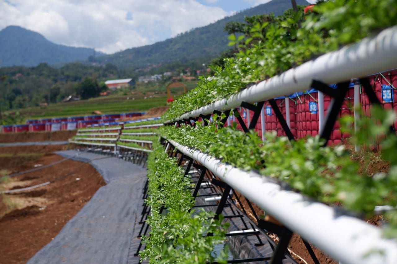 Pertanian Terpadu Sein Farm di Kota Bandung Ini Bisa Jadi Satu Pilihan untuk Liburan Sambil Belajar