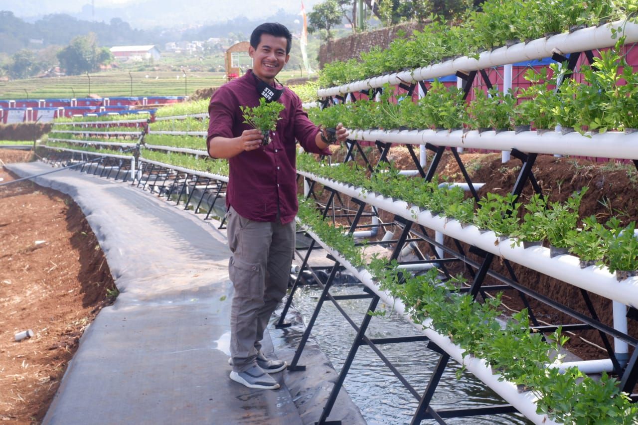 Pertanian Terpadu Sein Farm di Kota Bandung Ini Bisa Jadi Satu Pilihan untuk Liburan Sambil Belajar