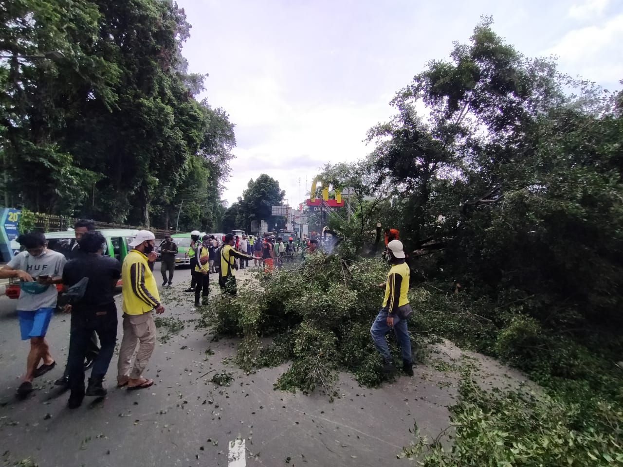 Pohon tumbang di Jalan Ir H Juanda, Bogor Tengah Kota Bogor, Senin 2 November 2020